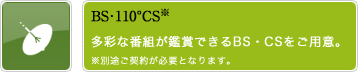 BS�E110��CS��